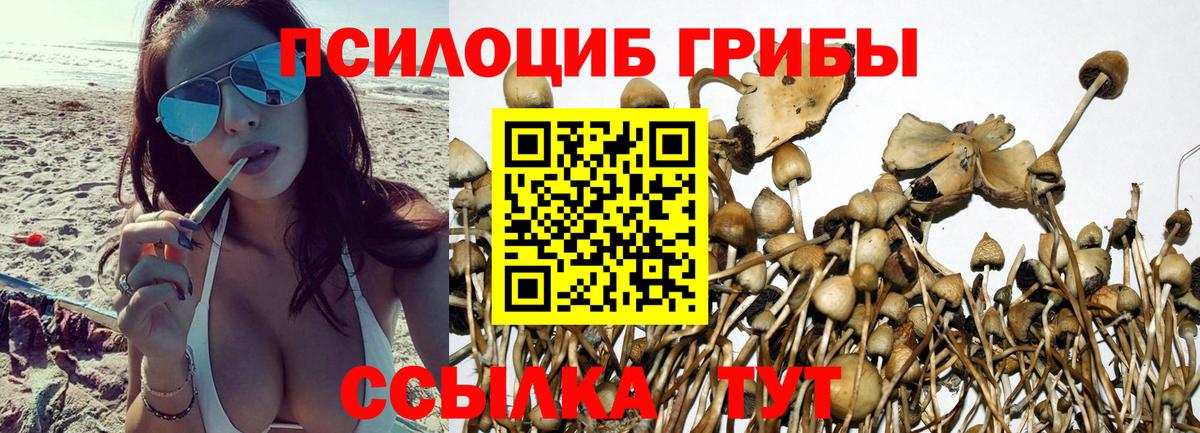 Донецк  Псилоцибиновые грибы ЛСД  где купить наркоту  Галлюциногенные грибы Magic Shrooms  Вход с VPN 