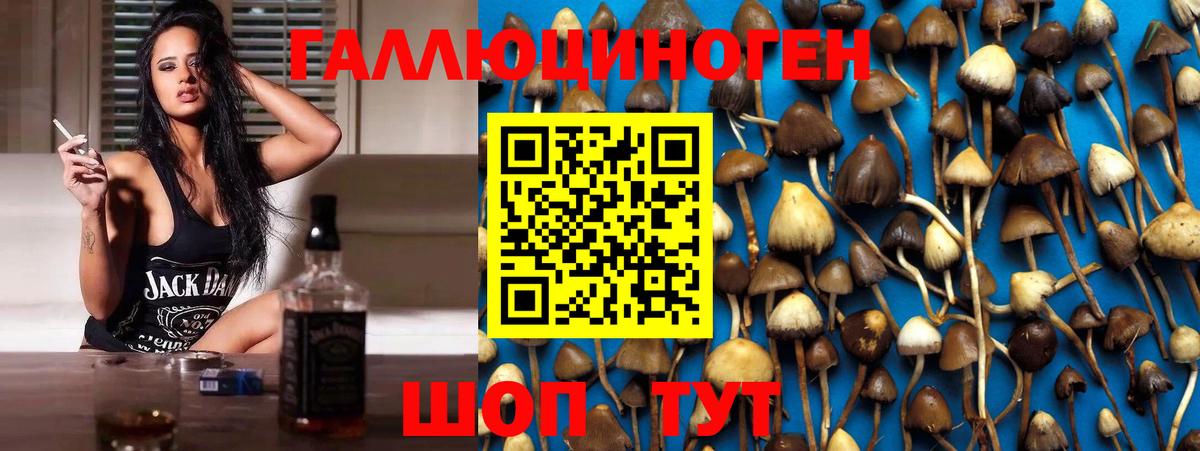Псилоцибиновые грибы ЛСД Донецк
